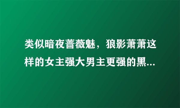 类似暗夜蔷薇魅，狼影萧萧这样的女主强大男主更强的黑暗宠溺文，，文笔情节要精致，结局要喜剧