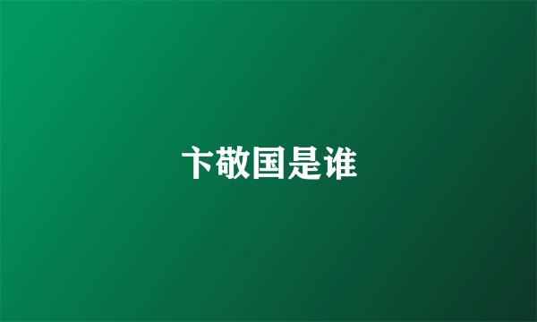卞敬国是谁