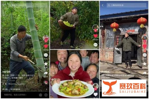 日均掉粉1万，李子柒再不复出就晚了