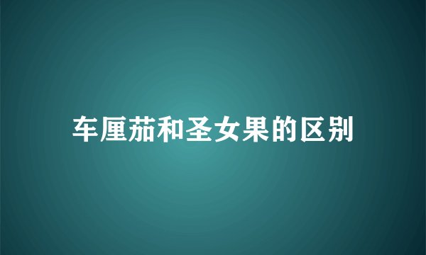 车厘茄和圣女果的区别