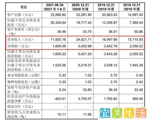 国能日新 新股分析