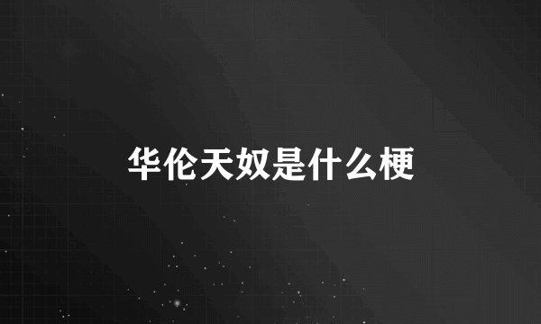 华伦天奴是什么梗