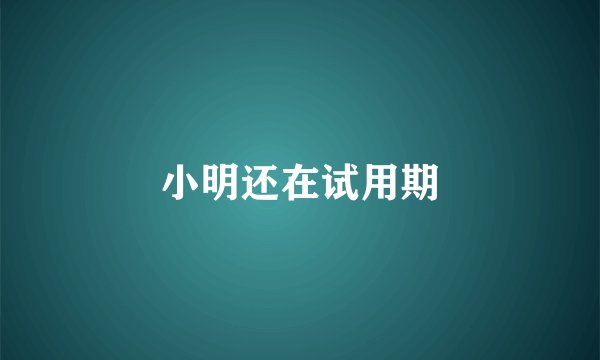小明还在试用期