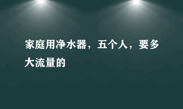 家庭用净水器，五个人，要多大流量的
