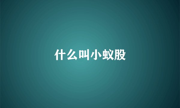 什么叫小蚁股