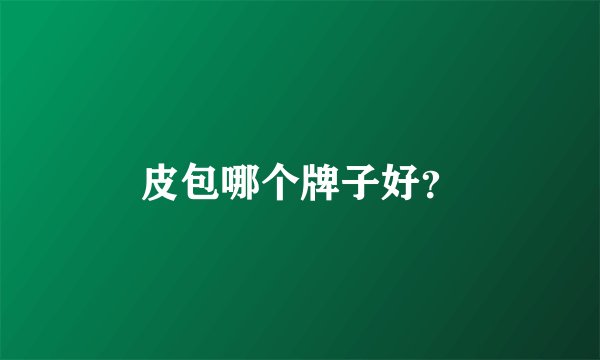 皮包哪个牌子好？
