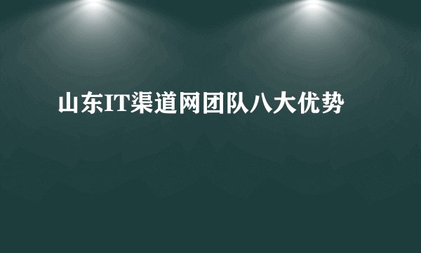 山东IT渠道网团队八大优势