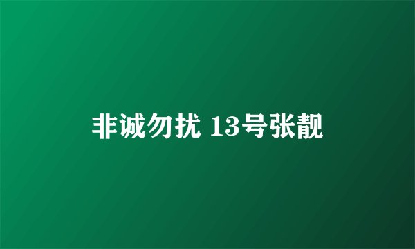 非诚勿扰 13号张靓