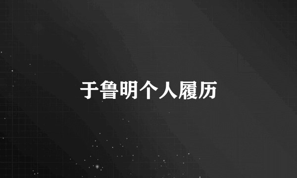 于鲁明个人履历