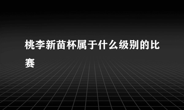 桃李新苗杯属于什么级别的比赛