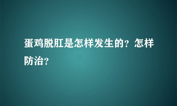 蛋鸡脱肛是怎样发生的?怎样防治?