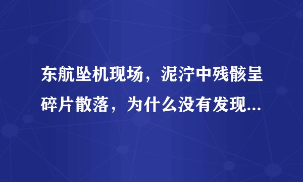 东航坠机现场，泥泞中残骸呈碎片散落，为什么没有发现大残骸？
