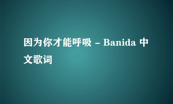 因为你才能呼吸 - Banida 中文歌词