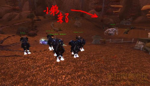魔兽世界 黎明之光 这个任务怎么做