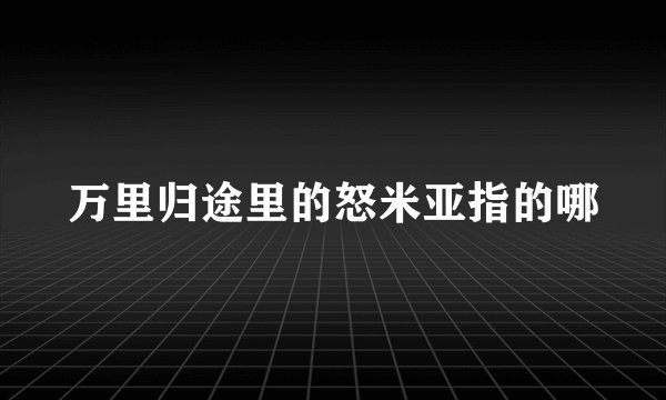 万里归途里的怒米亚指的哪