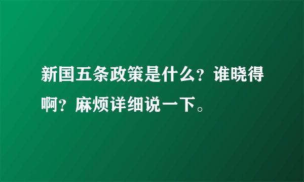 新国五条政策是什么？谁晓得啊？麻烦详细说一下。