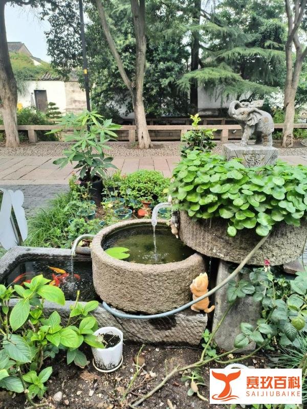 出了门来到苏州，才知道，原来是这样滴