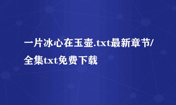 一片冰心在玉壶.txt最新章节/全集txt免费下载
