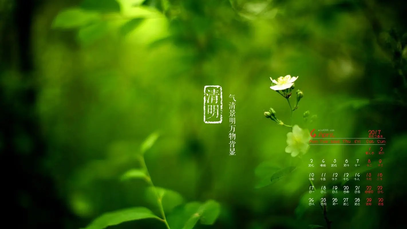 幼儿园清明节美篇主题名称