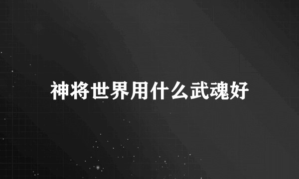 神将世界用什么武魂好
