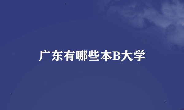 广东有哪些本B大学