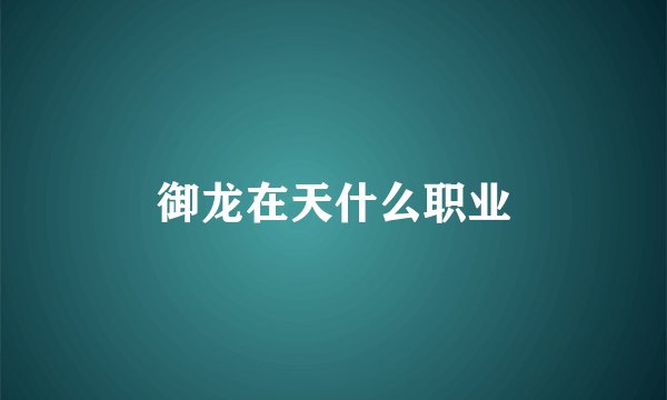 御龙在天什么职业