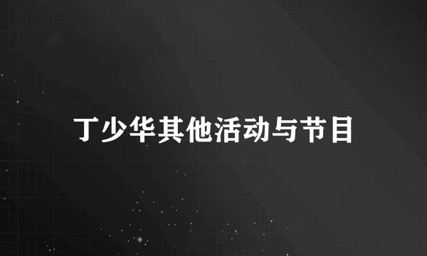 丁少华其他活动与节目