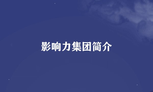 影响力集团简介