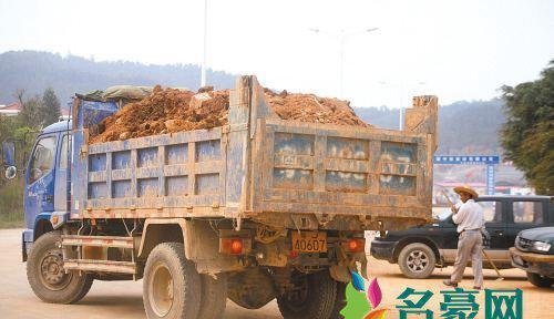 泥头车是什么梗什么意思