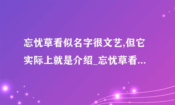 忘忧草看似名字很文艺,但它实际上就是介绍_忘忧草看似名字很文艺,但它实际上就是是什么