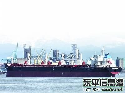 南远钻石号的船员名单