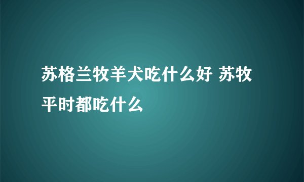 苏格兰牧羊犬吃什么好 苏牧平时都吃什么