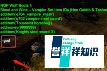 巫师3代码怎么输入?
