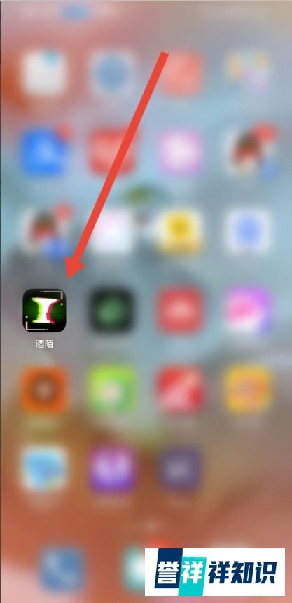 如何使用酒陌APP查看当前版本？