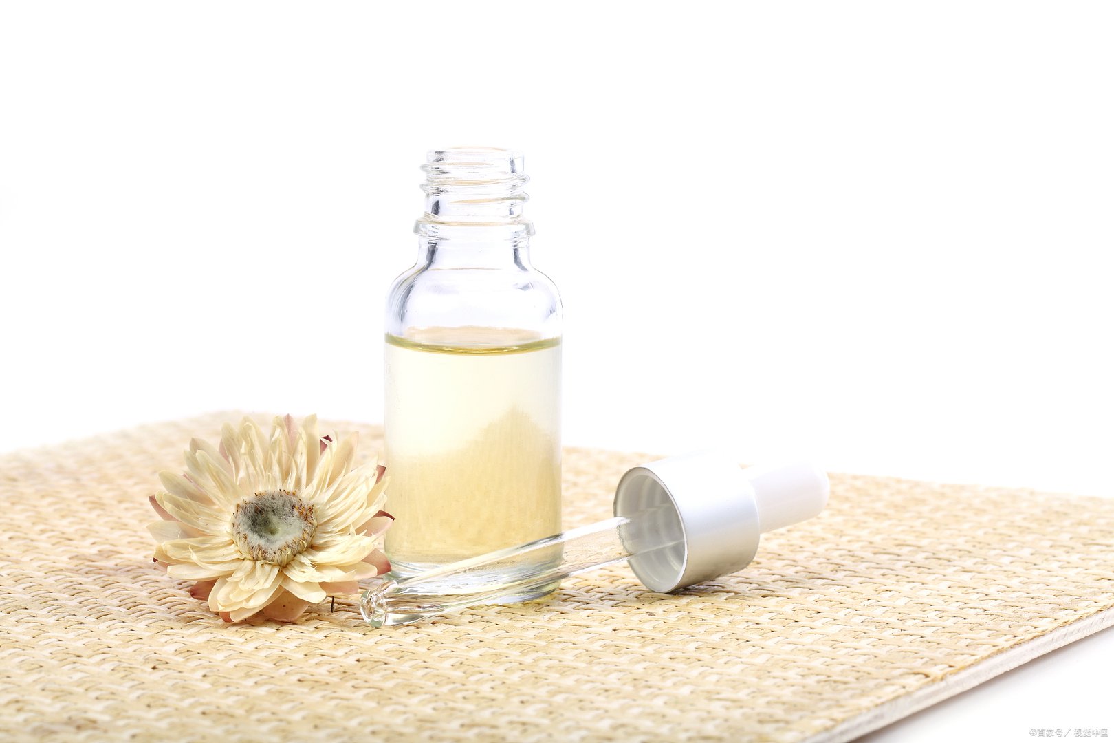 the body shop茶树精油怎么样?这款精油好用吗?