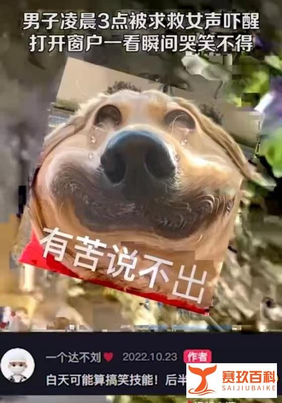 男子深夜被求救声吓醒,开窗空无一人而后笑哭