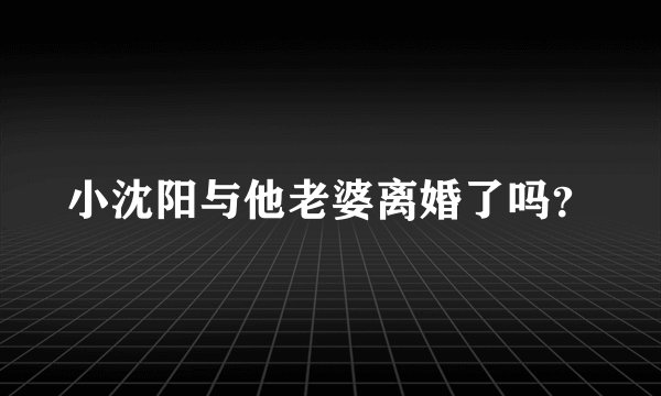 小沈阳与他老婆离婚了吗？