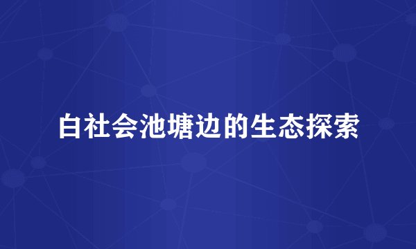 白社会池塘边的生态探索