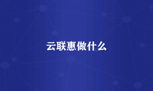 云联惠做什么