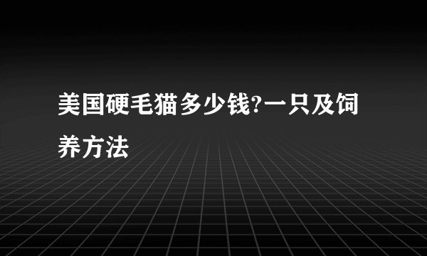美国硬毛猫多少钱?一只及饲养方法