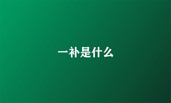 一补是什么