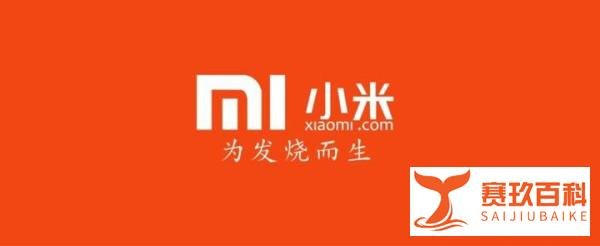 小米、苏宁易购等互联网公司被财政部点名