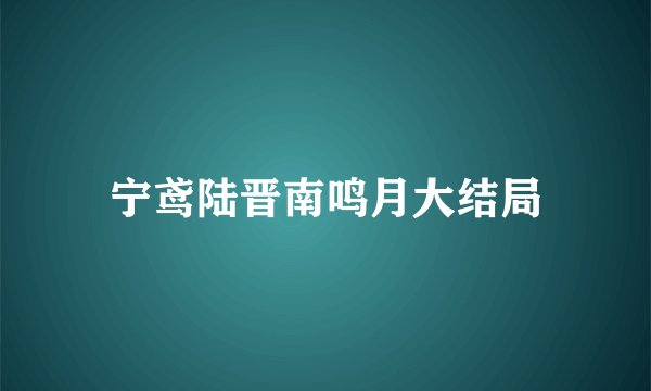 宁鸢陆晋南鸣月大结局