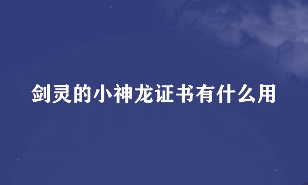 剑灵的小神龙证书有什么用