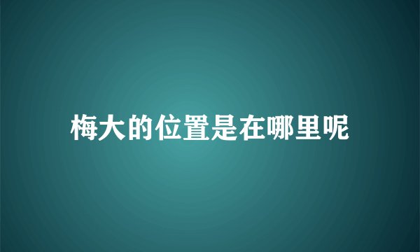 梅大的位置是在哪里呢