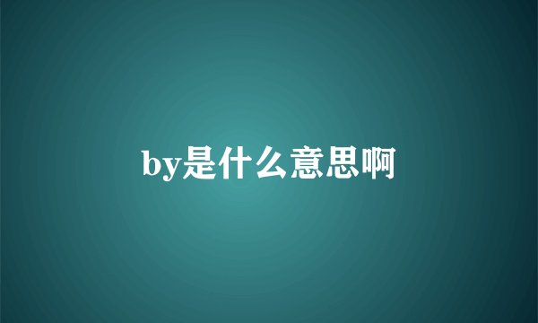 by是什么意思啊