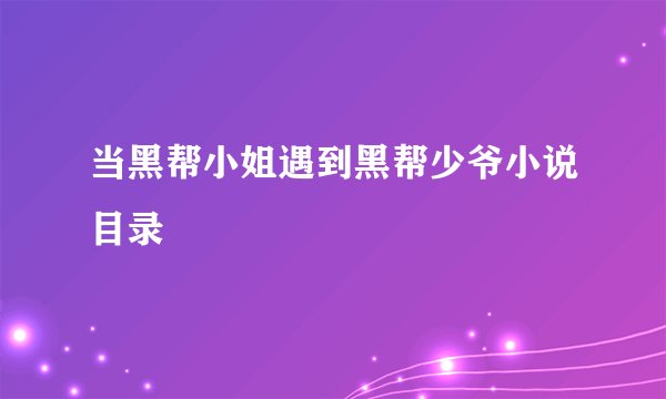 当黑帮小姐遇到黑帮少爷小说目录