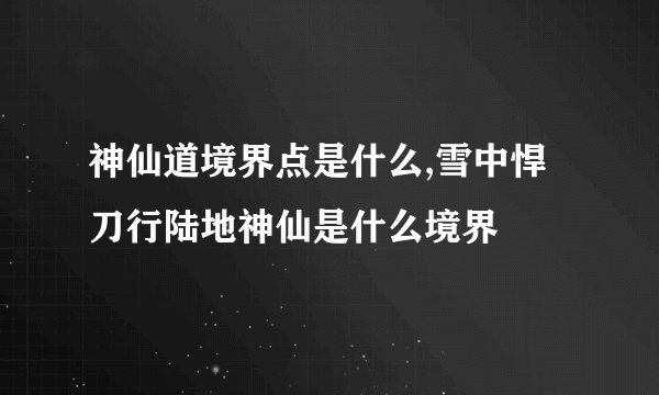 神仙道境界点是什么,雪中悍刀行陆地神仙是什么境界