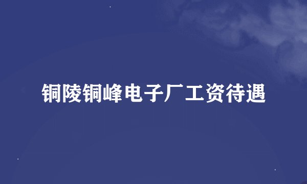 铜陵铜峰电子厂工资待遇