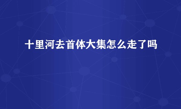 十里河去首体大集怎么走了吗